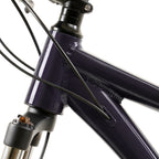 Bicicleta MTB Raptor 1.0 Gris Grafito Aro 29” – Aluminio – 21 Velocidades – Shimano