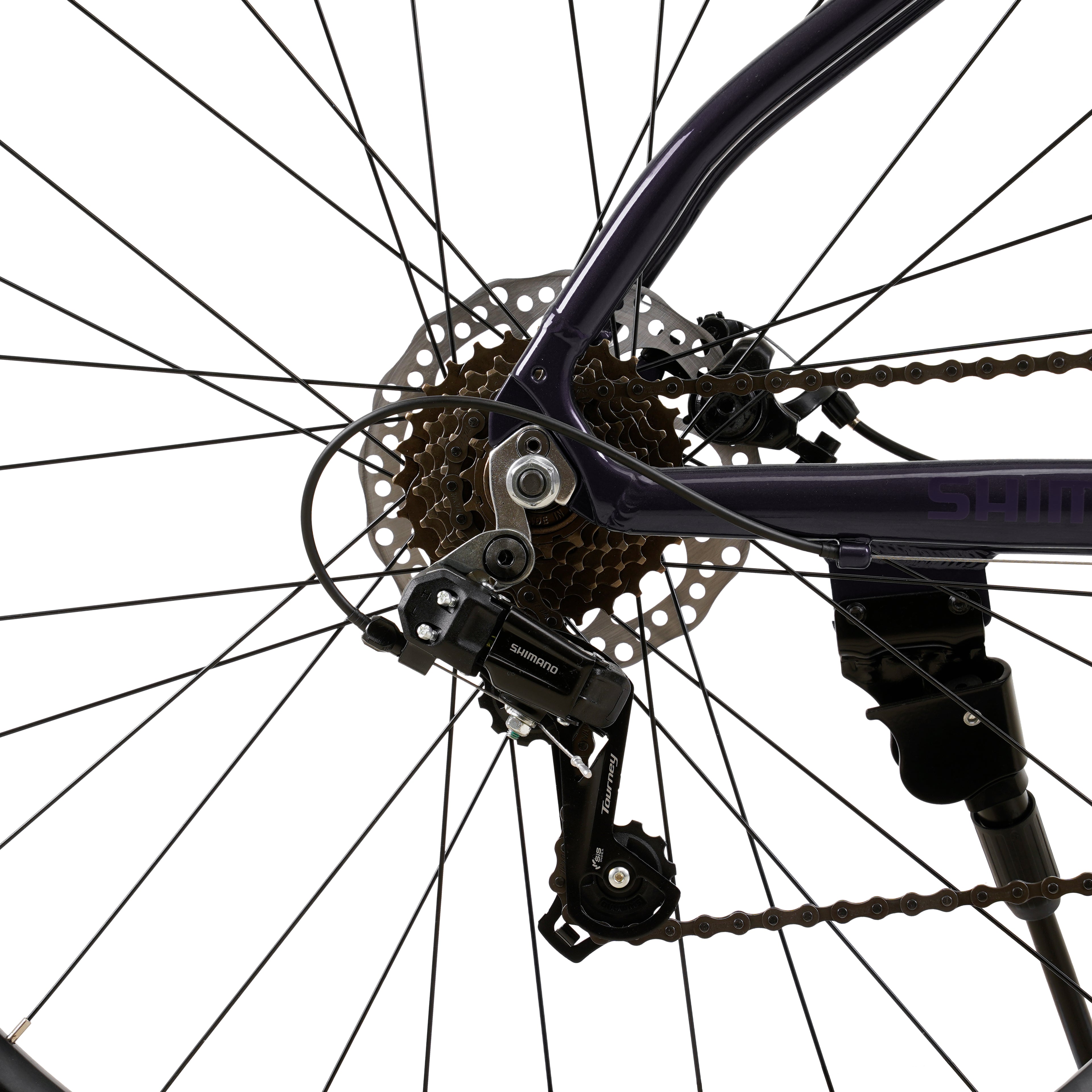 Bicicleta MTB Raptor 1.0 Gris Grafito Aro 29” – Aluminio – 21 Velocidades – Shimano