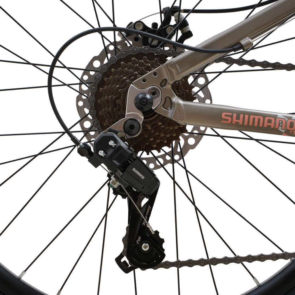 Bicicleta Blitz Aro 24 Gris 21v Aluminio