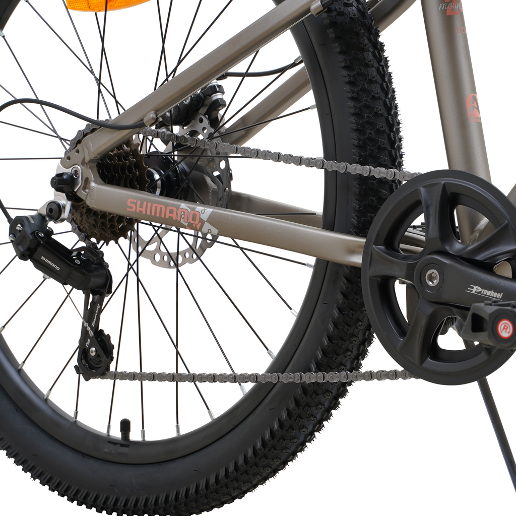 Bicicleta Blitz Aro 24 Gris 21v Aluminio