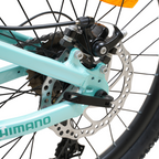 Bicicleta Blitz Aro 20 Verde Claro Aluminio