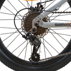 Bicicleta Blitz Aro 20 Gris Aluminio