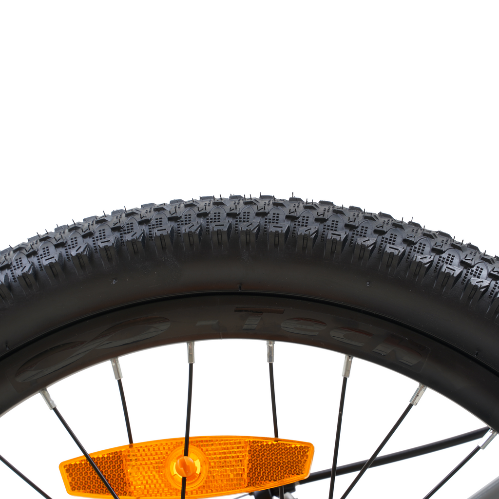 Bicicleta Blitz Aro 20 Gris Aluminio