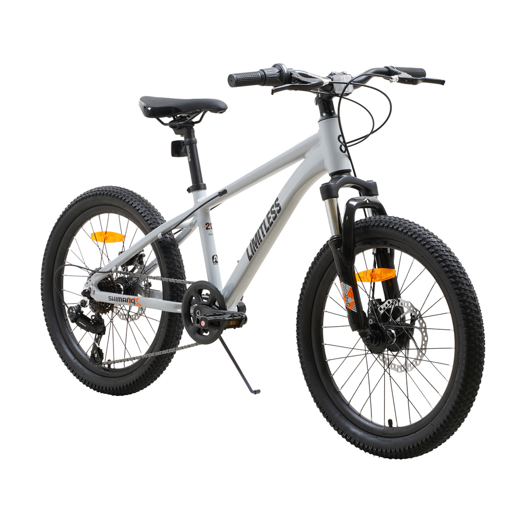 Bicicleta Blitz Aro 20 Gris Aluminio