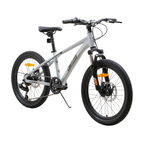 Bicicleta Blitz Aro 20 Gris Aluminio