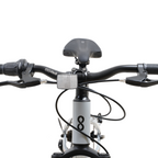 Bicicleta Blitz Aro 20 Gris Aluminio