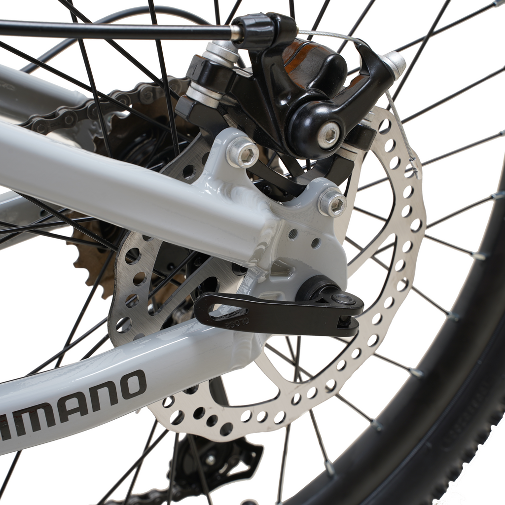 Bicicleta Blitz Aro 20 Gris Aluminio