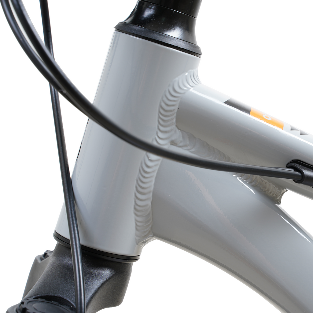 Bicicleta Blitz Aro 20 Gris Aluminio