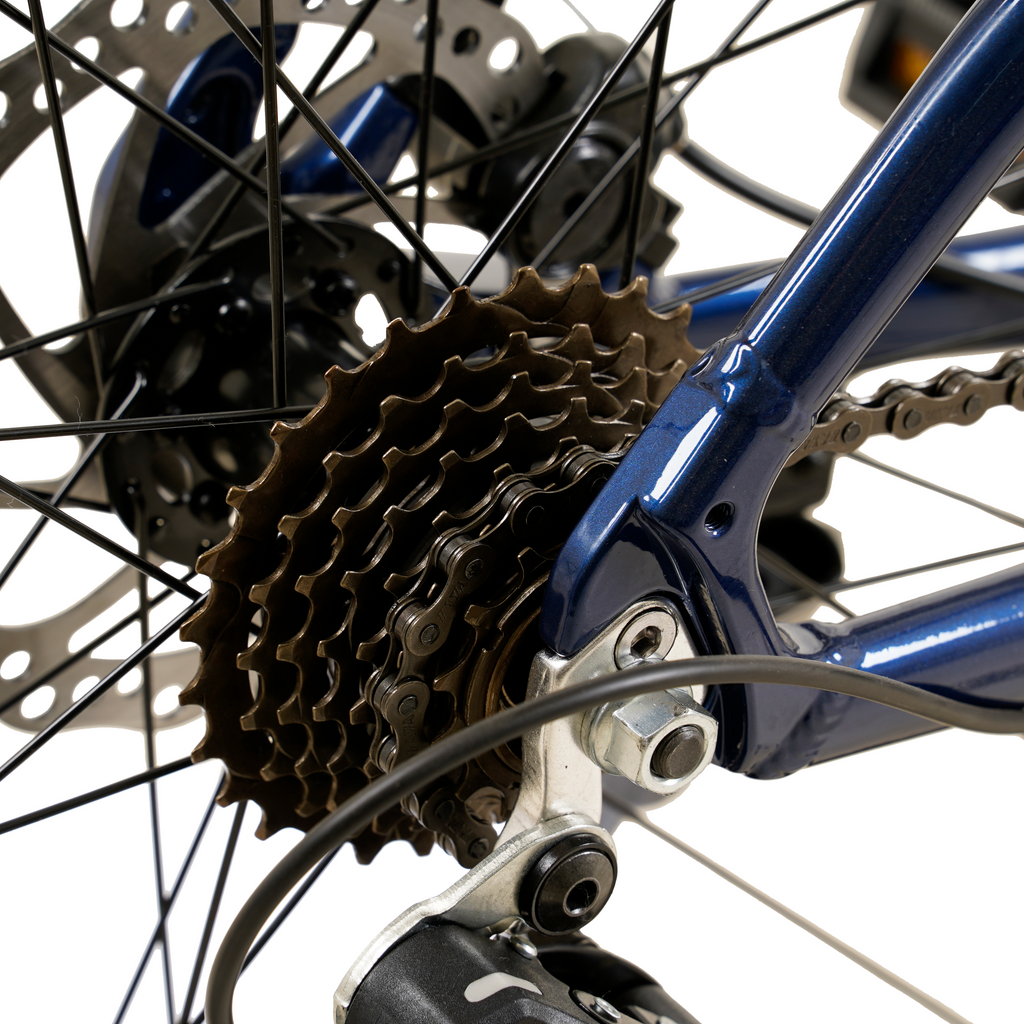 Bicicleta MTB Raptor 1.0 Azul Aro 29” – Aluminio – 21 Velocidades – Shimano